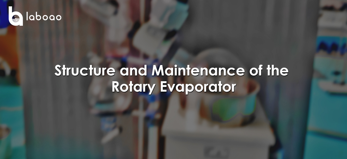 Structure And Maintenance Of The Rotary Evaporator