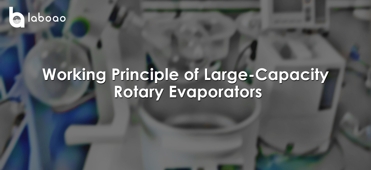 Working Principle Of Large-Capacity Rotary Evaporators