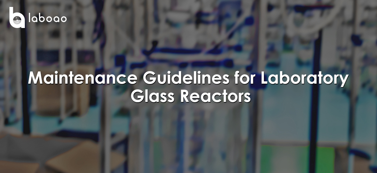 Maintenance Guidelines For Laboratory Glass Reactors